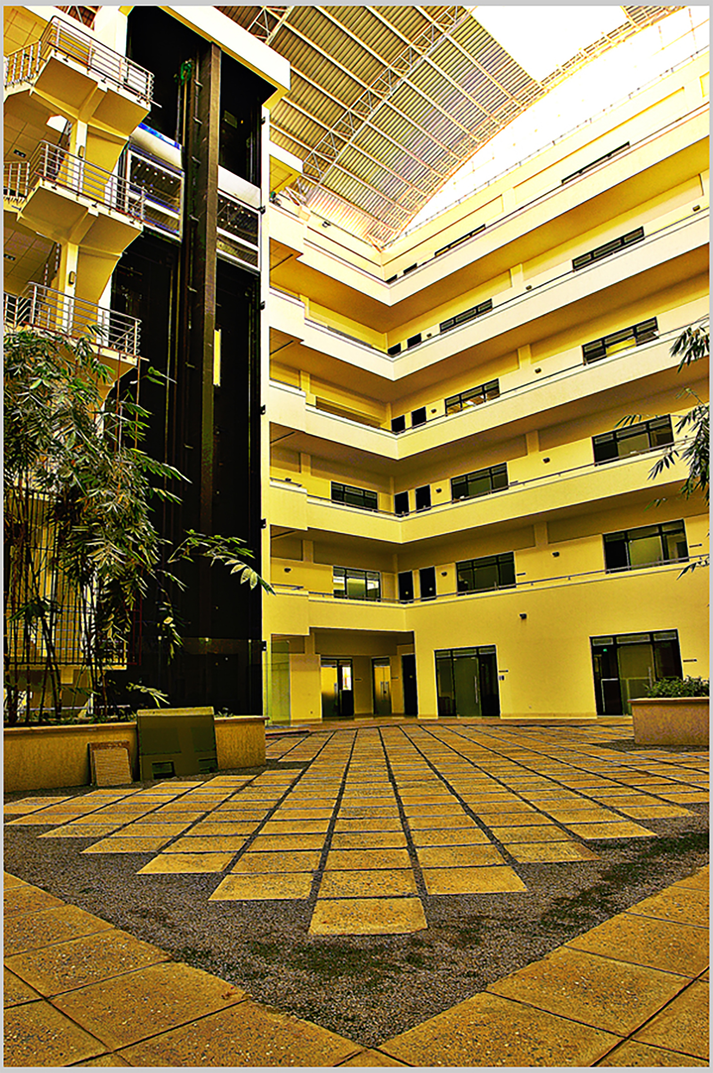 The Atrium, 2010 — image 4 of 9